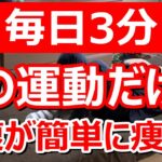 【簡単！お腹痩せ！脚痩せ！】毎日3分これを続けて！【痩せるストレッチ】