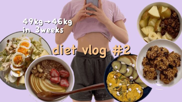 【diet vlog】短期間で健康的に痩せた私のダイエット食事メニュー/ダイエットレシピ/食べて痩せる！