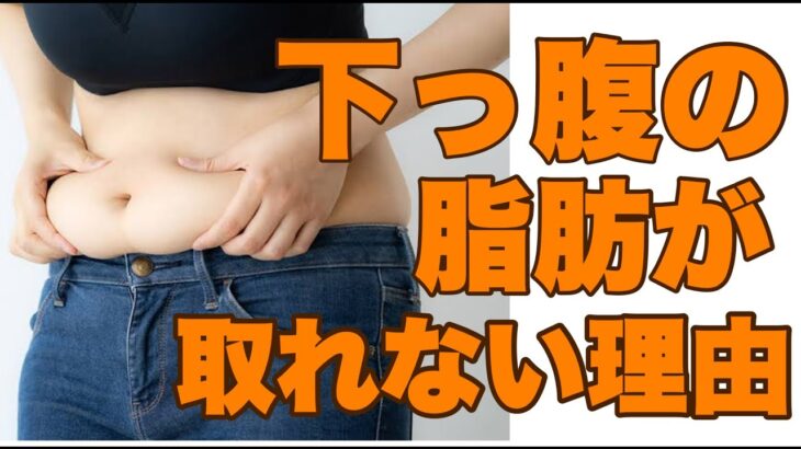 【本要約】原因がわかれば対策が出来る/下っ腹に聞く3つの方法