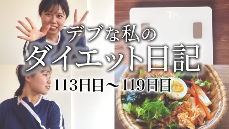 【diet blog】76.6kg→76.4kg　停滞期を超えて確実に体重を落とし続ける長期ダイエット中の私の食事内容、運動メニューを全て見せます！