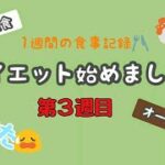 ダイエット始めました(第３週目)1週間の食事内容【確実に痩せる食事】