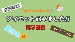 ダイエット始めました(第３週目)1週間の食事内容【確実に痩せる食事】