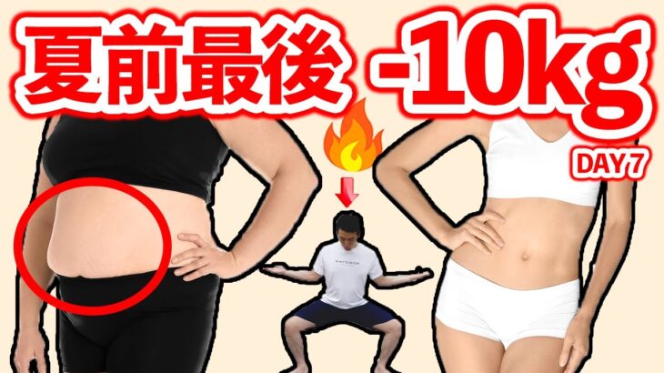 【夏前最後のー10ｋｇ】するする体重を落とすダイエットストレッチ筋トレ🔥太もも痩せ脚やせお腹痩せ【day7】