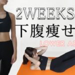 Eng【下腹痩せ】２週間で下っ腹を凹ます！４分間の下腹部トレーニング🔥LOSE LOWER BELLY FAT IN 2WEEKS! 4Min AT-HOME Workout