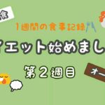 ダイエット始めました!!【確実に痩せる食事】【腸活食事】