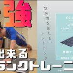 【おうちダイエット】確実に痩せる！？プランクトレーニングマット紹介♪