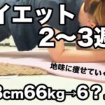 【ダイエット2～3週目】喋りながら食事日記をただただ紹介する動画【アラサーのコロナ太り】