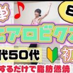 【簡単！初級エアロビクス】40代50代ダイエットに最適！まねして楽しく全身運動