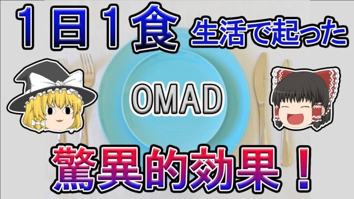 【OMADダイエット】夏までに5キロ落とす！1日1食ダイエットの驚異的効果と効率的な方法【ゆっくり解説】