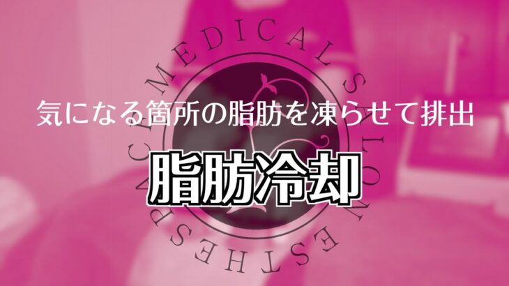 【脂肪を凍らせて排出！】人気の部分痩せ痩身マシン「脂肪冷却」をご紹介します！大阪・神戸のエステサロン やせる専門店ダイエットラボ