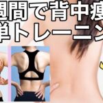 【1回30秒で背中痩せ】ながらストレッチで背中痩せ[脇肉解消,ダイエット,ストレッチ,ながらストレッチ,ズボラストレッチ,ぐーたらストレッチ,トレーニング]