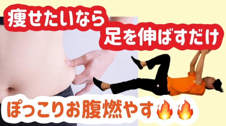 【ぽっこりお腹ゲキタイ！】下っ腹にメチャクチャ効く５分ダイエット【寝ながらスマホOK】下っ腹痩せ・お腹痩せ・浮き輪肉・腰痩せ・背中痩せ