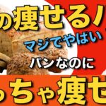 確実に体脂肪を落として痩せるダイエットパン３選！