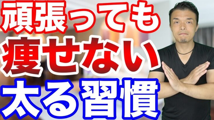 【ダイエット】知らないと頑張っても痩せない習慣！太りやすい体質から簡単にヤセ体質になります