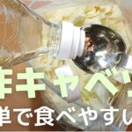 【酢キャベツ】ダイエットや美容で人気継続中！簡単なのに食べやすい。塩を使わない超健康食レシピです！