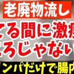 【寝ながら内臓洗浄】1時間歩くより怖いくらい老廃物ドパドパ出して中性脂肪も減らし、股関節がふにゃふにゃになり変形性膝関節症、腰痛まで解消【寝る前ストレッチ｜お腹痩せ｜ダイエット整体師】