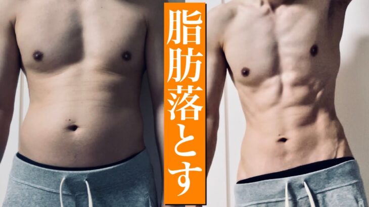 【激変注意】お腹痩せとシックスパック両方を手に入れる1日6分間の運動