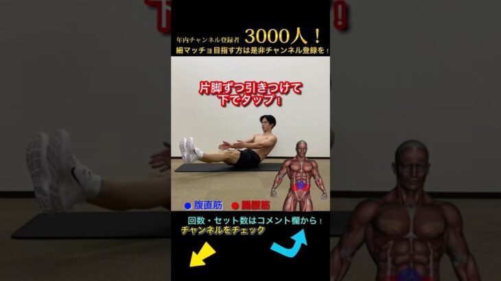 【痩せる筋トレを紹介！】下っ腹の肉を落とす腹筋トレーニング！