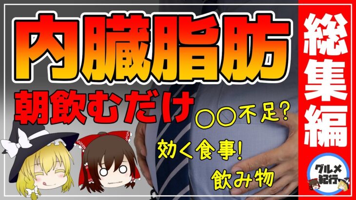 【ゆっくり解説】内臓脂肪を落とす！40代50代でも減らす方法まとめ総集編【ゆっくりグルメ紀行】