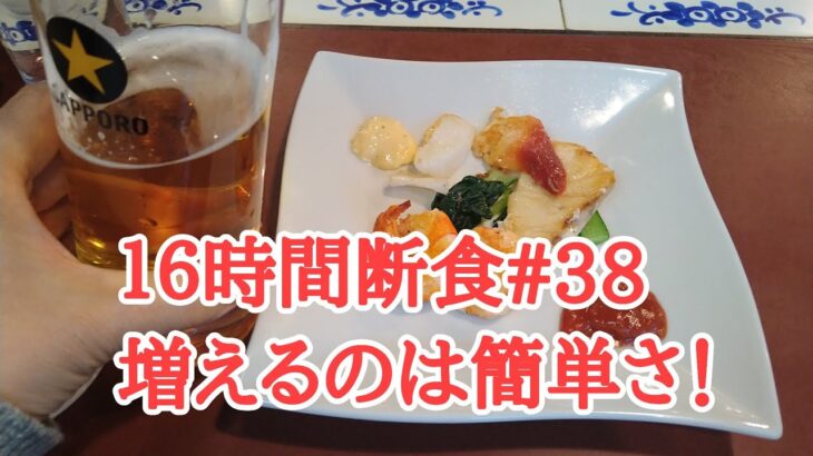 【16時間断食#38】増えるのは簡単さ！