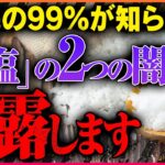 【マジでやばい】「塩」の闇を暴露。健康的なダイエットができなくなります【皮下脂肪.下っ腹】