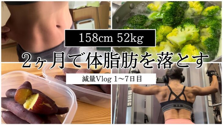 【体脂肪を落とす1週間の食事】ダイエット減量Vlog1〜7日目 | 体重・体脂肪率