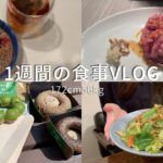 1週間の食事Vlog/ダイエットしながらも食事を楽しむ/ミスド 焼肉 お花見 プロテインマグケーキ