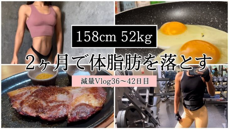 【体脂肪を落とす1週間の食事⑥】ダイエット減量Vlog36〜42日目 | 体重・体脂肪率