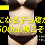 【23歳/154cm/62kg/BMI27】脂肪吸引で気になる下っ腹を即効ダイエット【3500cc根こそぎました】