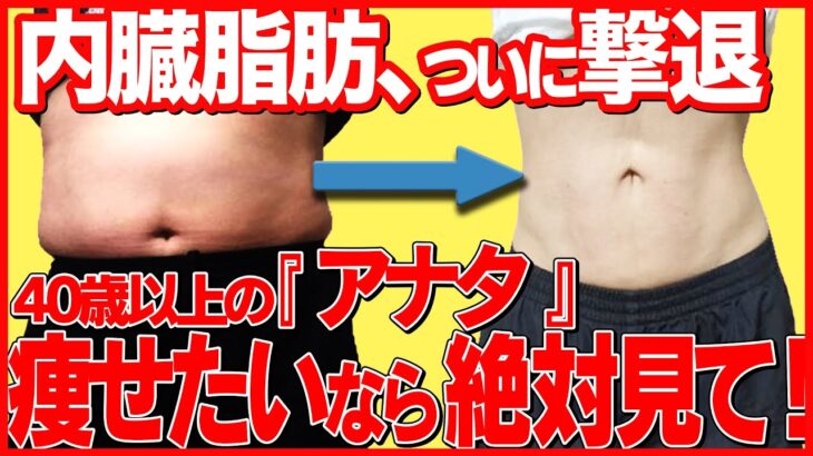 【脱ぽっこりお腹】内臓脂肪を落として劇的に痩せる方法【40代,50代,ダイエット,皮下脂肪】