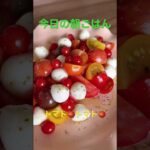 【朝ごはん🍅トマト】 #野菜 #野菜ソムリエ #簡単レシピ #sdgs #旬の食材 #food #ダイエット #ダイエットレシピ #旬 #トマト #とまと #カプレーゼ #モッツァレラチーズ