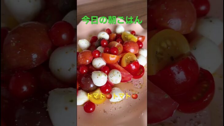 【朝ごはん🍅トマト】 #野菜 #野菜ソムリエ #簡単レシピ #sdgs #旬の食材 #food #ダイエット #ダイエットレシピ #旬 #トマト #とまと #カプレーゼ #モッツァレラチーズ