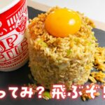 【オートミールアレンジ】簡単お米より美味い！？日清カップヌードルオートミールチャーハンを作って食べて痩せて行く！【ダイエットレシピ】