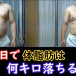 （100日）ダイエットしながら筋量増加実験　ビフォーアフター