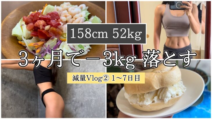 【−3kg落とす1週間の食事①】ダイエット減量Vlog1〜7日目 | 体重・体脂肪率