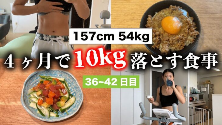【4ヶ月で10kg落とす1週間の食事⑥】減量Vlog36〜42日目 / 脂質制限 / 体重公開