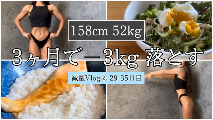 【−3kg落とす1週間の食事⑤】ダイエット減量Vlog29〜35日目 | 体重・体脂肪率