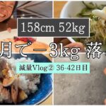 【−3kg落とす1週間の食事⑥】ダイエット減量Vlog36~42日目 | 体重・体脂肪率