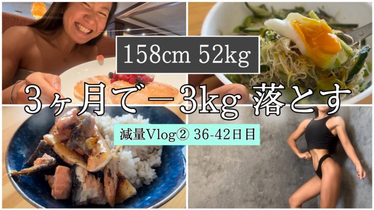 【−3kg落とす1週間の食事⑥】ダイエット減量Vlog36~42日目 | 体重・体脂肪率