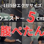 【1日5分】下っ腹痩せ、くびれを作るストレッチとトレーニング 反り腰改善