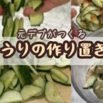 【作り置きレシピ】ダイエット中のきゅうりの作り置き2選！