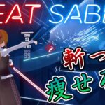 【Beat Saber】ノリノリでキューブ斬るだけの簡単なダイエット【VR】