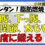 【超カンタン！脂肪燃焼！】お腹、下っ腹、股関節、太もも　一度に鍛える！