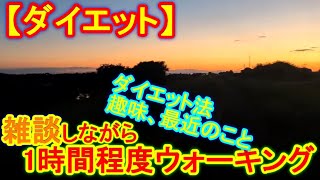 【ダイエット】雑談しながら1時間くらい散歩する【雑談】