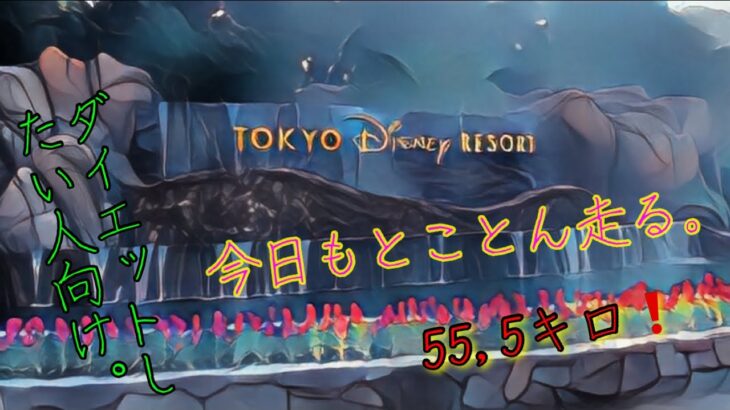 自宅〜ディズニーリゾートまで走りながらダイエットについて語る。夢の国まで走って、夢から覚める。