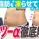 【脂肪冷却痩身】メスを使わず部分痩せ！クラツーα徹底解説