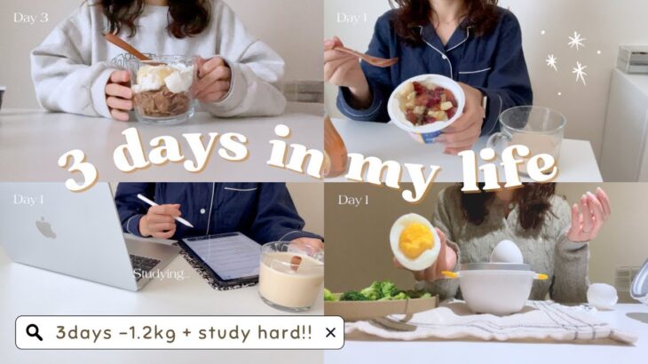 【3日間で-1.2kg】ダイエットしながら勉強も頑張る社会人OLの平日👩‍💼 | 3 days in my daily life | diet + study hard for my dream✨