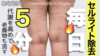 【寝たまま５分】太もも裏側のセルライトを落とす運動   毎日投稿894日目｜5 Minute Slim Leg Workfut For Cellulite