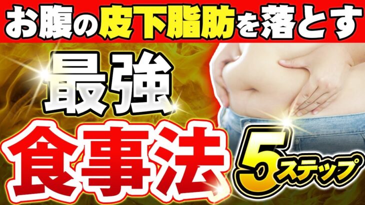 【完全解説】皮下脂肪を落とす【最強食事法】お腹の脂肪を落とすメカニズム【献立の立て方】までダイエットの本質が解ります！