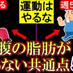 お腹の皮下脂肪が落ちない人の最悪な5つの共通点【今すぐやめろ｜腹筋を割る方法｜痩せる｜下っ腹｜効果｜ダイエット】